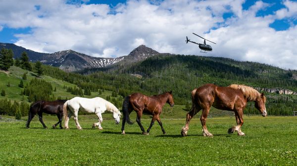 Trey Ratcliff,photography,nature,mountains,clouds,animals