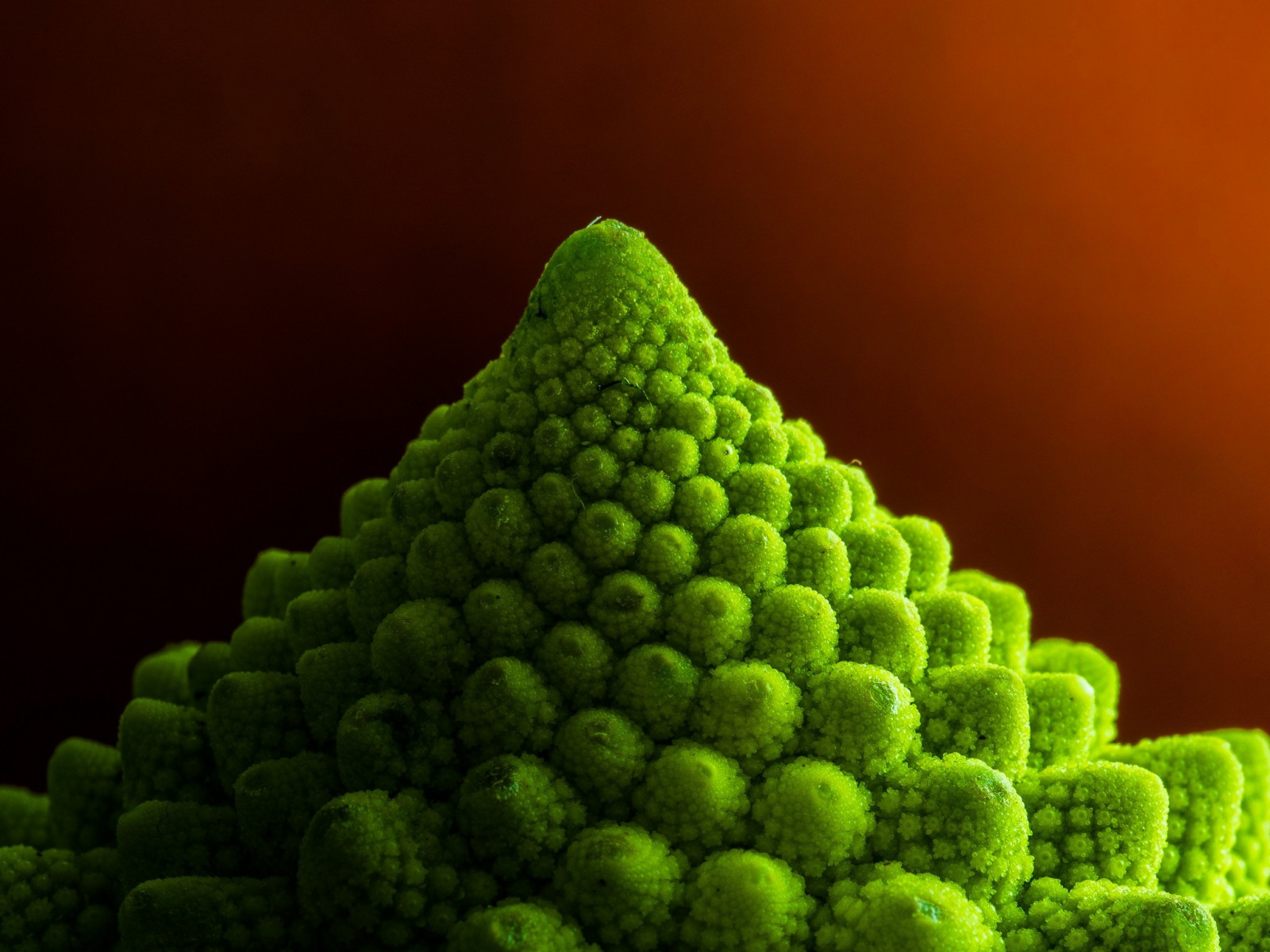 Wallpaper green, pollen, leaf, flower, point, surface, computer