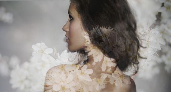 face, portrait, long hair, leaves, white, flowers