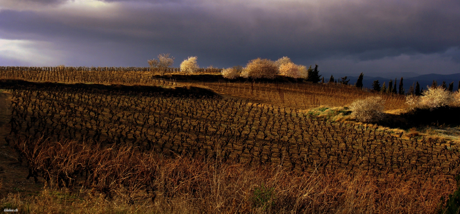 luce del sole, paesaggio, collina, erba, cielo, campo, sera, mattina, orizzonte, atmosfera, Francia, cannuccia, nube, albero, alba, prateria, agricoltura, prato, automne, pianura, aude, Campagne, prateria, raccolto, area rurale, sfondo del computer, famiglia di erba, fenomeno meteorologico, ecoregione, Linguadoca-Rossiglione