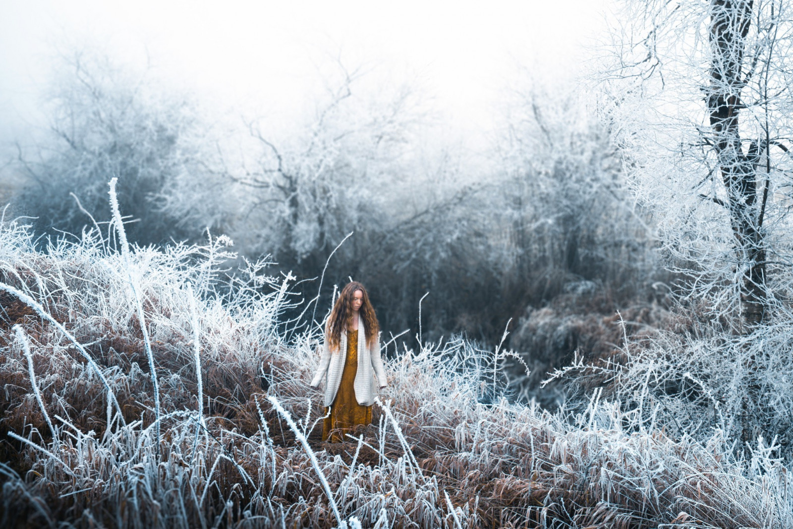 luce del sole, foresta, donne all'aperto, donne, modello, natura, erba, la neve, inverno, ramo, ghiaccio, brina, Congelamento, albero, autunno, tempo metereologico, stagione, bosco, fenomeno atmosferico, pianta legnosa, 2048x1368 px