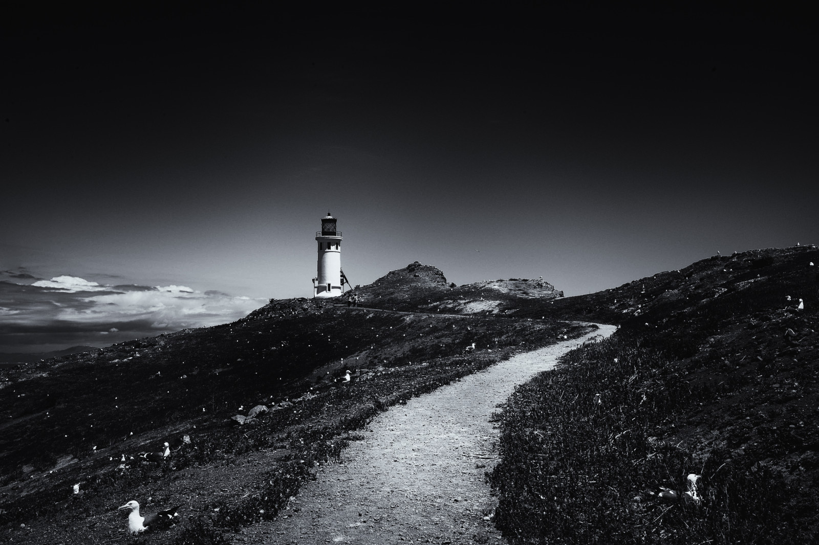 Baggrunde : fugle, hav, nat, himmel, skygge, sne, vinter, vej, bakker ...