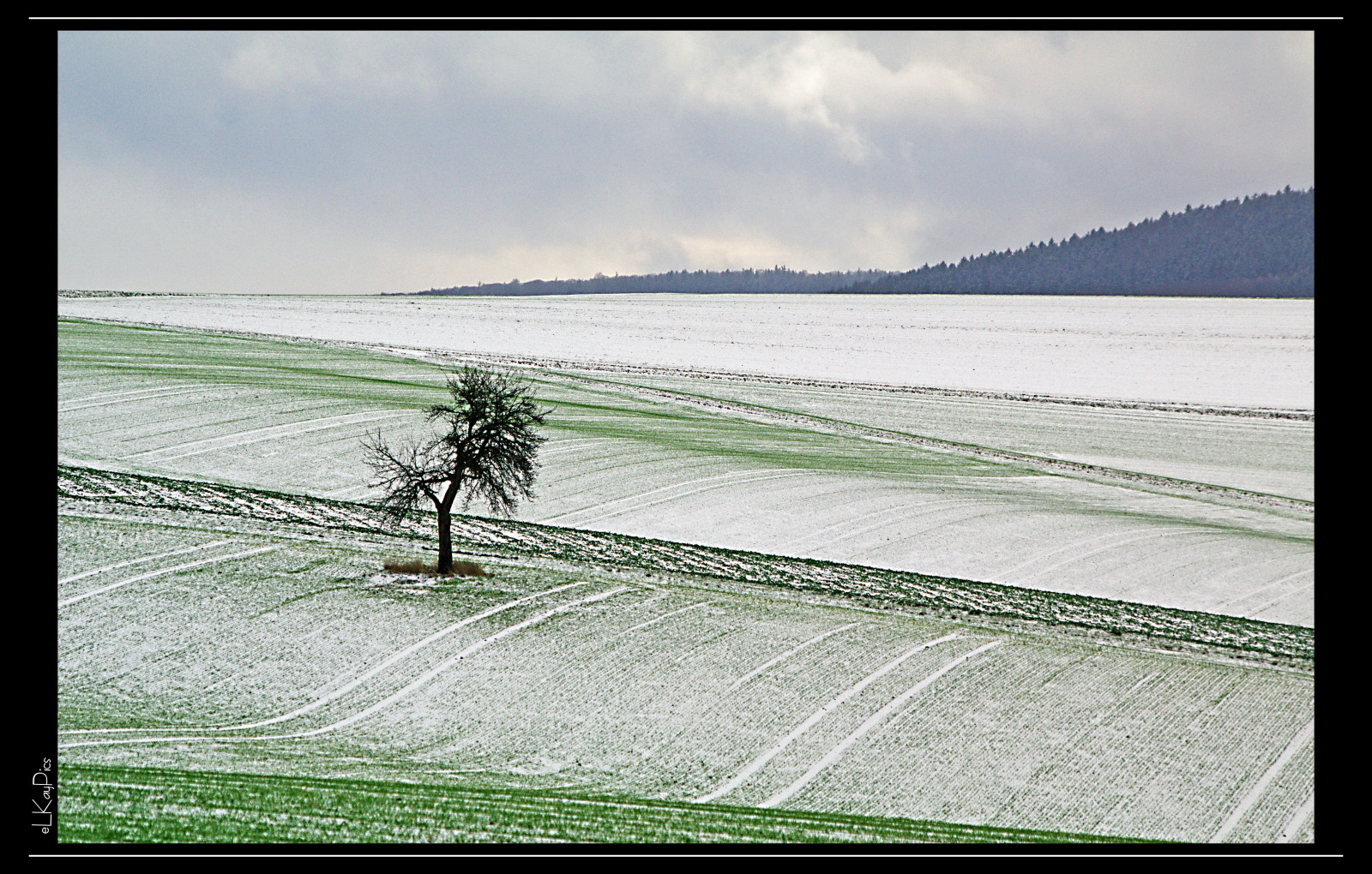 krajina, moře, pobřeží, sníh, zima, pobřeží, vítr, horizont, pentax, strom, Landschaft, oceán, vlna, K7, prosinec, materiál, tvar, Schnee, hessen, Taunus, Hesse, idsteinerland, elkaypics, lonelytree, Idstein, onetreeoneyear
