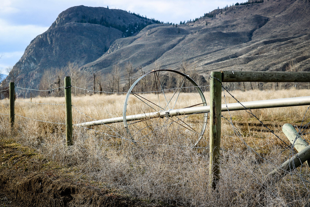 landskab, bakke, græs, himmel, vinter, Mark, træ, gård, Canada, hegn, træ, bjerg, græsarealer, plante, cans2s, highland, prærie, bølgende bakker, landdistrikt, bjergkæde, udendørs struktur, græs familie, faldt, trådhegn, økoregion, pigtråd, latewinter, kamloopsbc, tranquillefarms, irrigationpipe