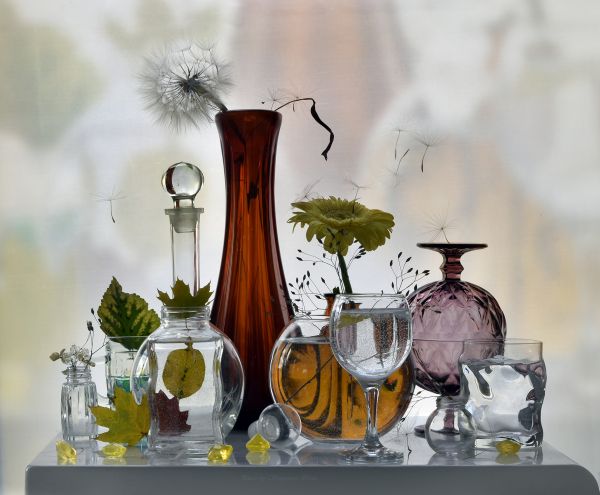 Irina Shipunova,still life,plants,glass,leaves,dandelion