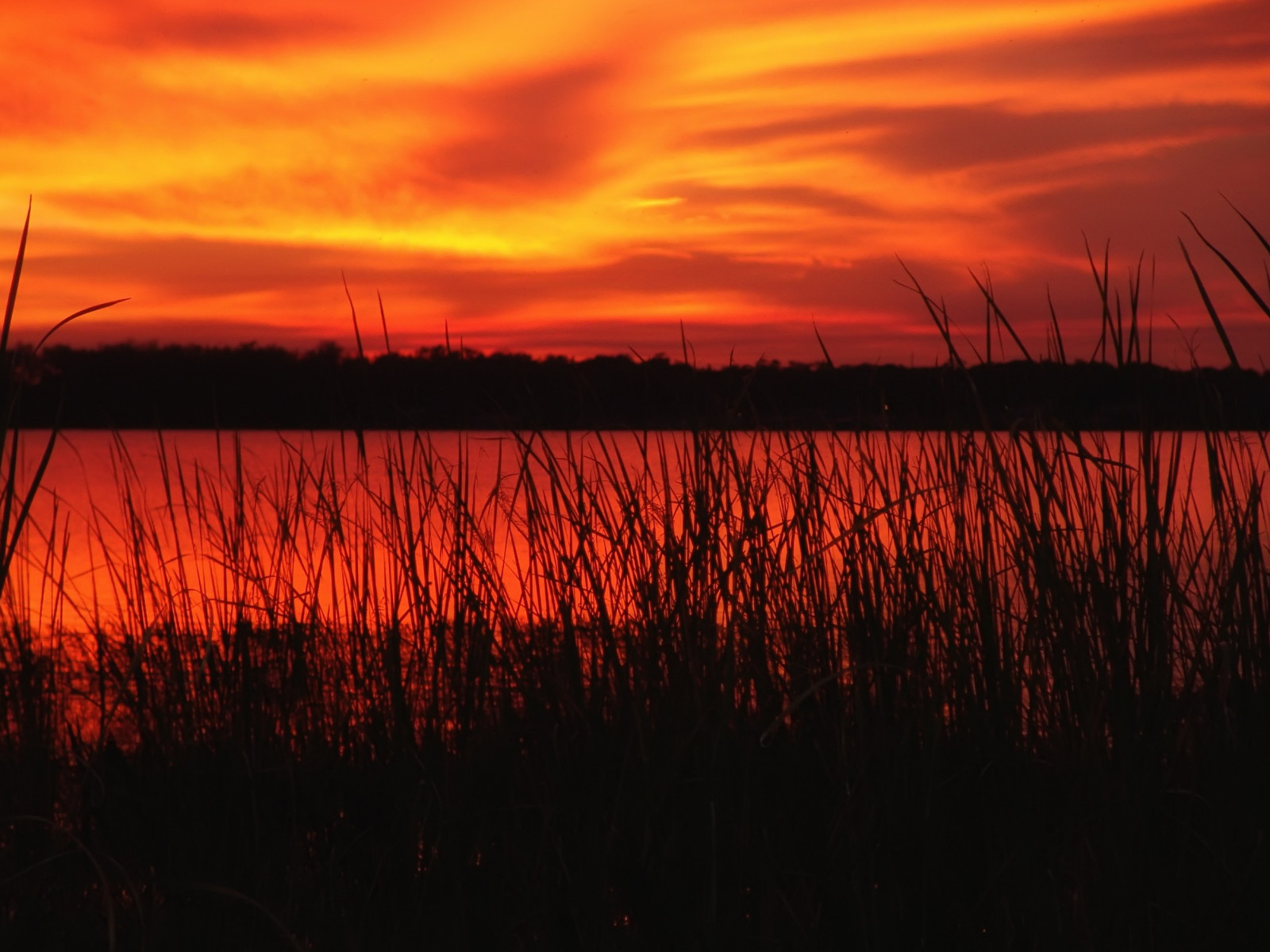 slunečnímu záření, krajina, západ slunce, voda, Příroda, odraz, rostliny, silueta, svítání, večer, ráno, řeka, horizont, soumrak, mrak, svítání, odlesk, červená obloha v dopoledních hodinách