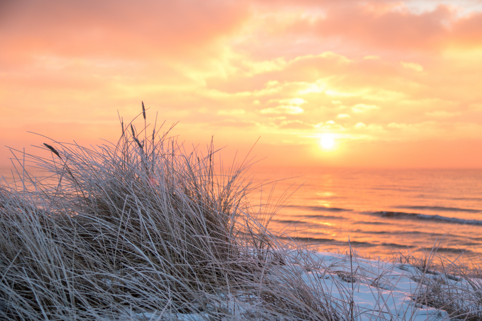 slunečnímu záření, krajina, západ slunce, moře, Příroda, pobřeží, písek, nebe, zima, pláž, svítání, Studený, večer, ráno, pobřeží, mráz, slunce, horizont, soumrak, Jinovatka, mrak, svítání, oceán, Vinter, kallt, skateholm, rimfrost, prérie, atmosférický jev, odlesk, tráva rodina
