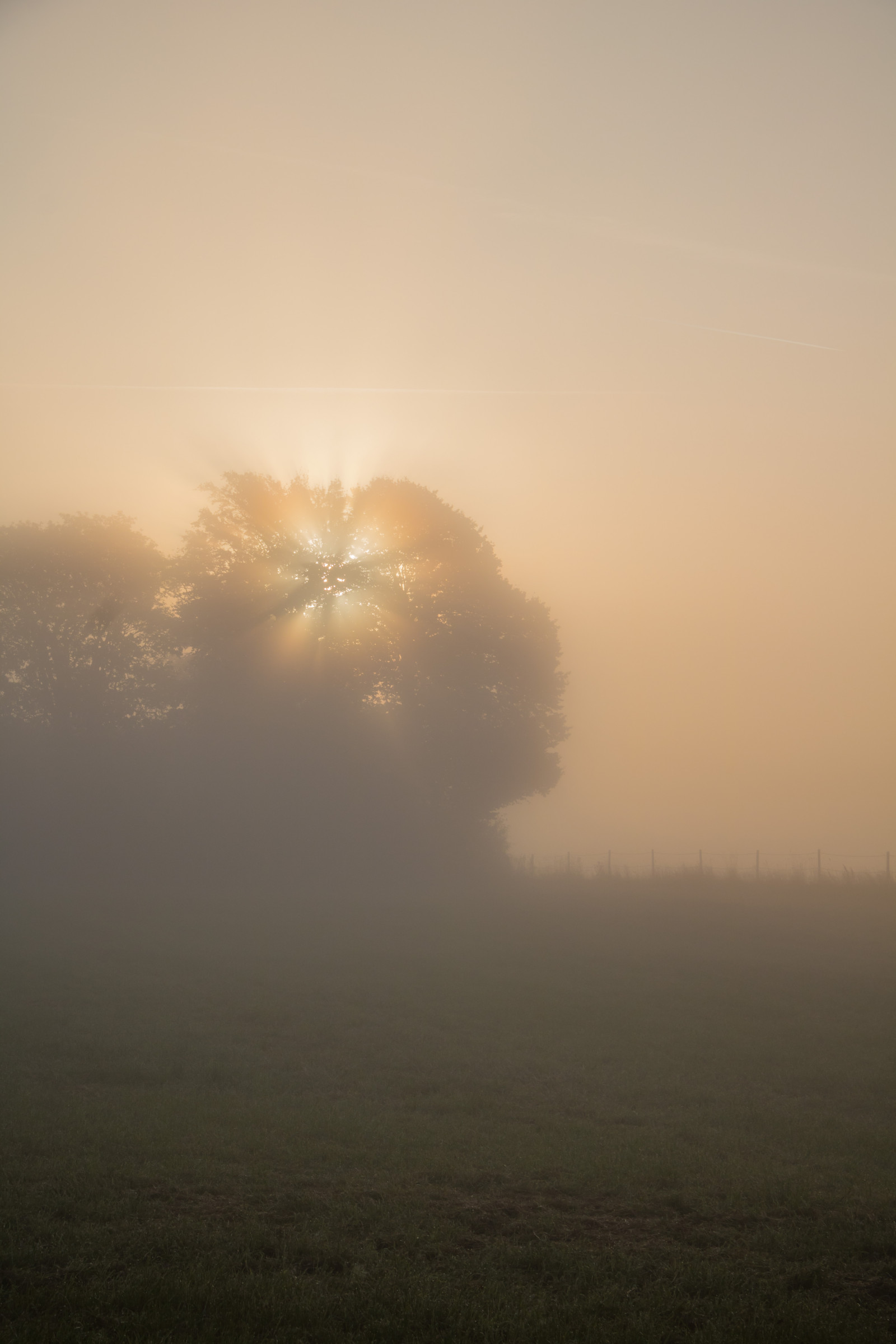 slunečnímu záření, krajina, západ slunce, kopec, Příroda, nebe, pole, svítání, večer, ráno, mlha, slunce, horizont, atmosféra, soumrak, opar, mrak, strom, mlha, počasí, svítání, tr d, dimma, venkov, landsbygd, soluppg ng, s dersl tt, landskap, gryning, exif modelu canoneos760d, geocountry, Kamera aby kánon, geocity, Model fotoaparátu canoneos760d, geostate, geolocation, EXIF čočka efs18200mmf3556is, exif aby kánon, EXIF isospeed 100, exif focallength 50mm, EXIF otvor 10, morgon, prostý, atmosférický jev, Atmosféra Země