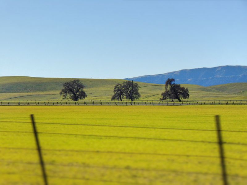 phong cảnh, đồi núi, cỏ, cánh đồng, nông trại, California phong cảnh, đồi núi, cỏ, cánh đồng, nông trại, California