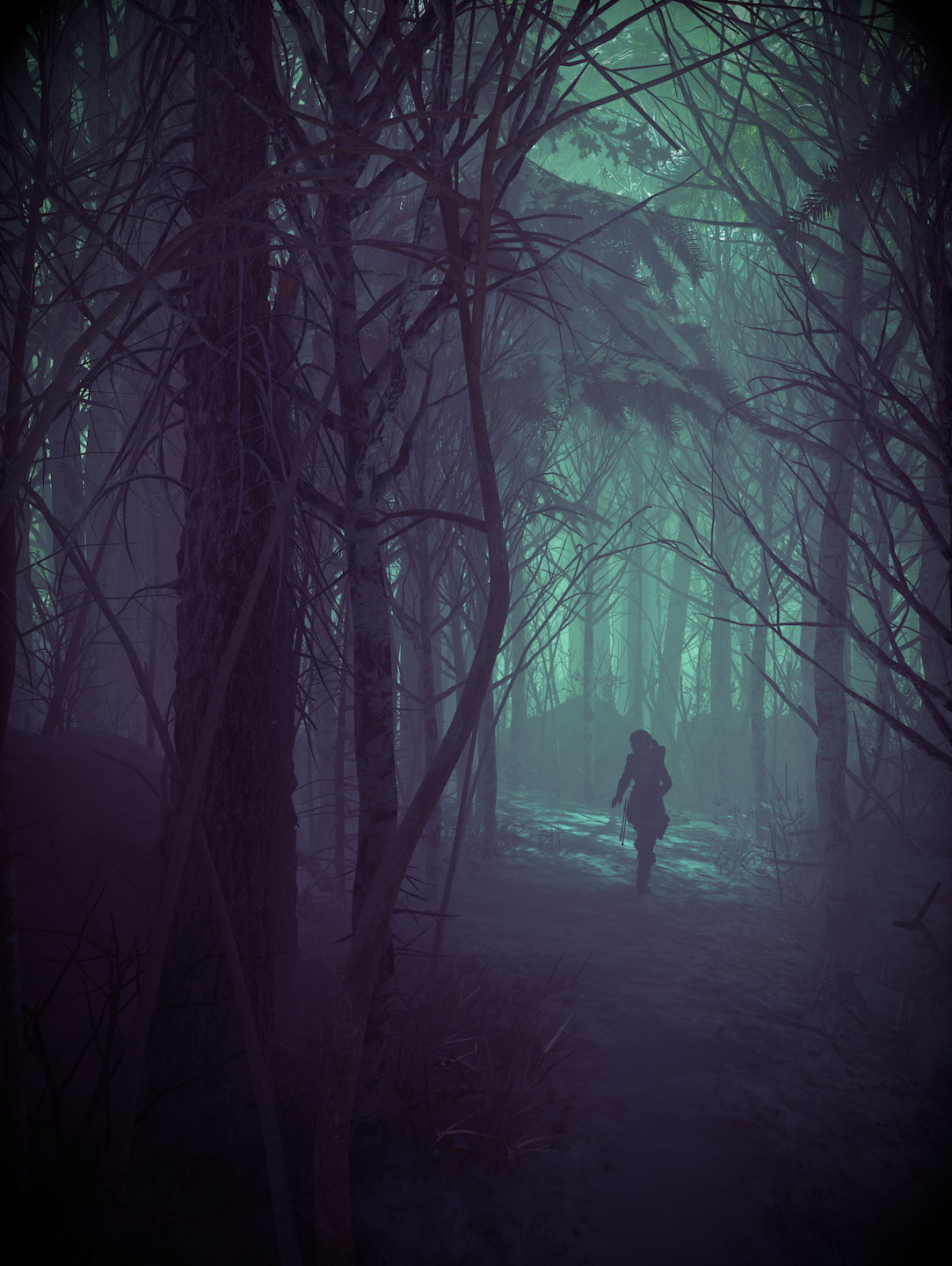 slunečnímu záření, les, větev, ráno, mlha, měsíční svit, atmosféra, Lara Croft, Tomb Raider, Rise of the Tomb Raider, půlnoc, strom, mlha, počasí, tma, Snímek obrazovky, místo výskytu, přírodní prostředí, atmosférický jev, počítač tapeta