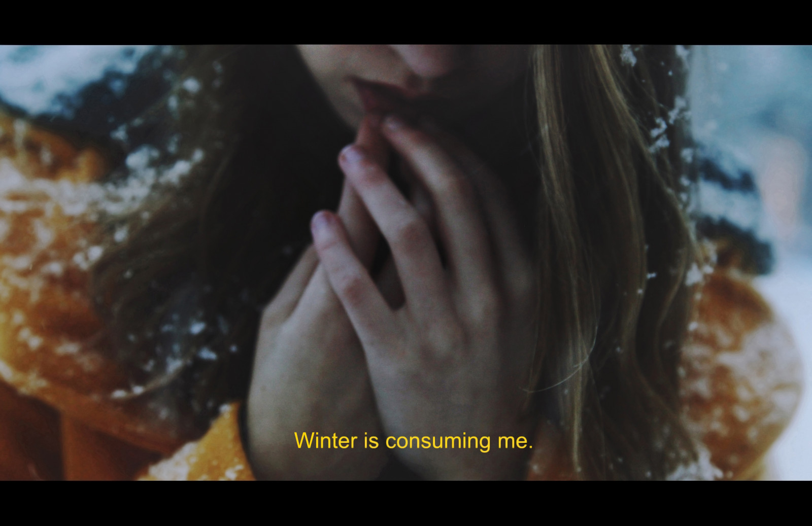 Wallpaper : winter, cold, film, digital, still, blurred, Conceptual ...