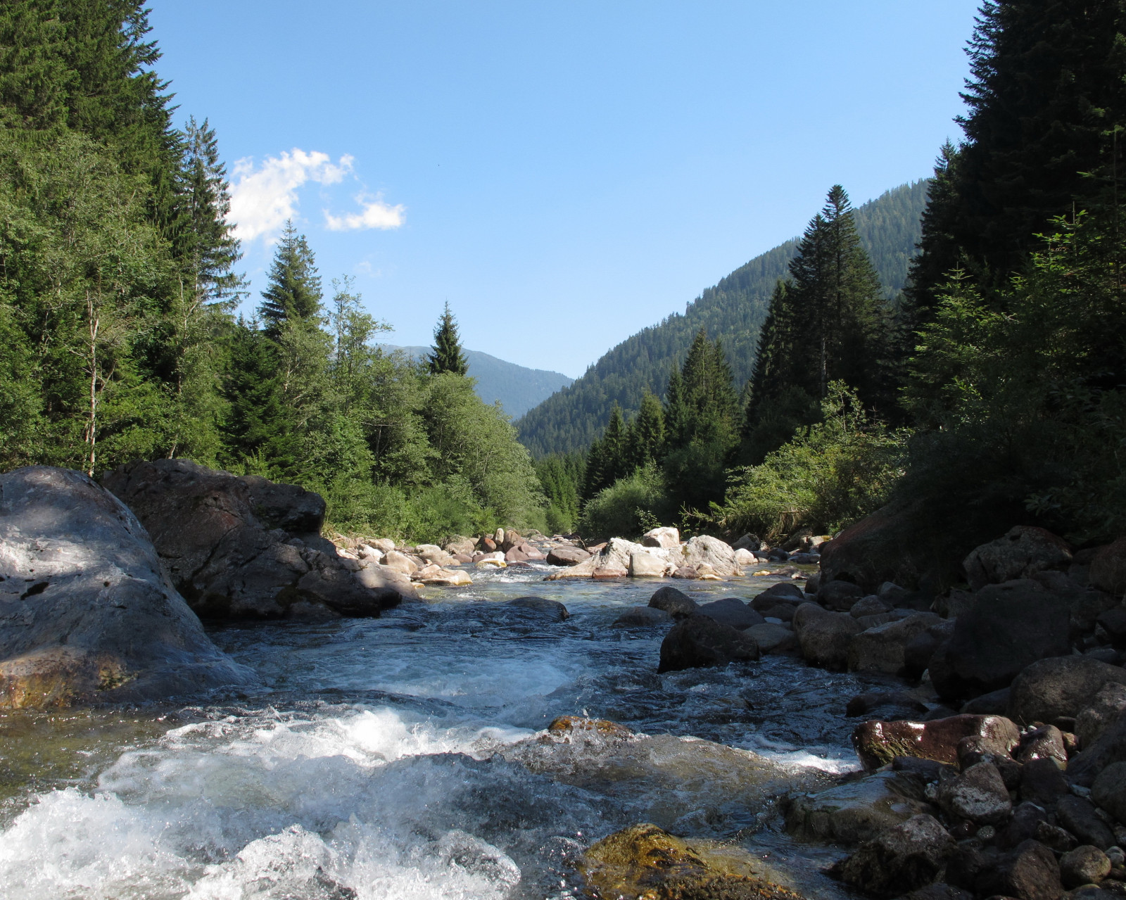 Marina, Italia, den, majetek, Průhledná, acqua, freska, trentino, torrente, Severitalia, Valledelvanoi, mygearandme, mygearandmepremium, mygearandmebronze, mygearandmesilver, mygearandmegold, canong12, mygearandmeplatinum, mygearandmediamond, Torrentevanoi