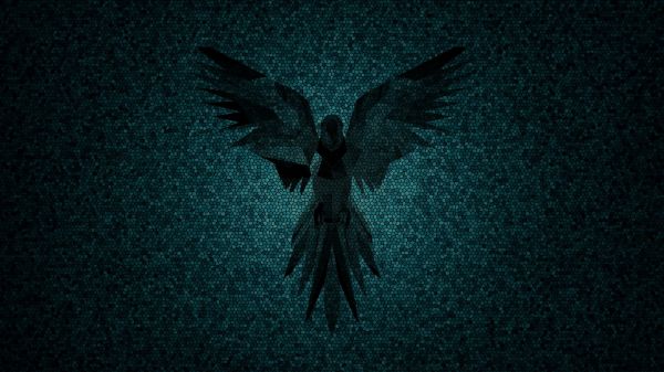 monochrome,hacking,parrot,symmetry,Linux,parrot security
