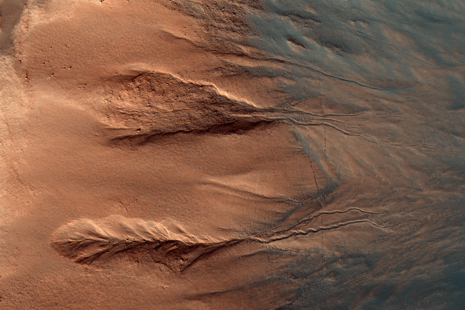 ทราย, ธรณีวิทยา, อีโครีเจียน, ท้องฟ้า, แนวนอน, การก่อตัว, รูปแบบของดาวหาง, erg, วัสดุ, วดี, หิน, เนินทราย, ความผิดพลาด, ทะเลทราย