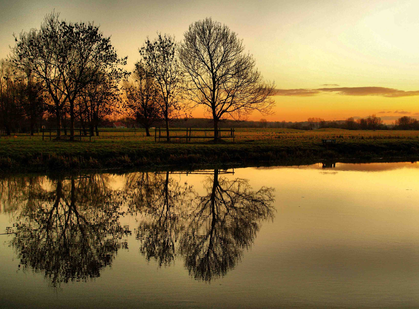 træer, landskab, solnedgang, sø, vand, natur, afspejling, vinter, afdeling, solopgang, aften, morgen, tåge, flod, superhelt, skumring, Bank, vådområde, træ, gylden, efterår, daggry, evig, bedstemor, thechallengefactory, challengeyou, challengeyouwinner, tommel op, thumbwrestler, marsk, duel, loch, atmosfærisk fænomen, vedplante, december, bigmomma, gamewinner, gamex2winner, storybookwinner, gamex3winner, storybookttwwinner, favescontestsweep, ultraherowinner, fotocompetitionfotocompetitionbronze, Nene, ferrymeadows, nenecountrypark, friendlychallenge, yourock1st, babymomma, UNAM, motmapr10, pregamewinner, favescontestwinner, favescontestfavored, favescontesttopseed, yourockwinner, yourockunanimous, rockon, A3B, motifdchallengewinner, favescontestfavoriteson, favescontestoverthetop, rockconcertwinner, motmnov12, Cty, motmjun13, thumbwrestlingchamp, 6985sun, 6985, monthlygrandmother, motmapr14, motmwinner, 15challenges