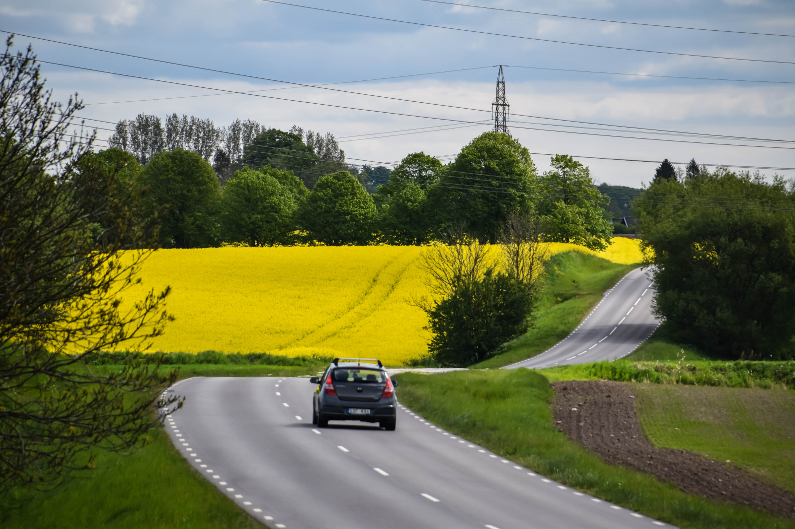 krajina, Příroda, nebe, pole, silnice, žlutý, hospodařit, Švédsko, Dálnice, doprava, asfalt, infrastruktura, Sverige, květ, venkovní, sk nel n, se, nebe, sk ne, venkov, landsbygd, znásilnění, silnice, brassicanapus, rapseed, spannm l, venkov, road trip, Dálnice