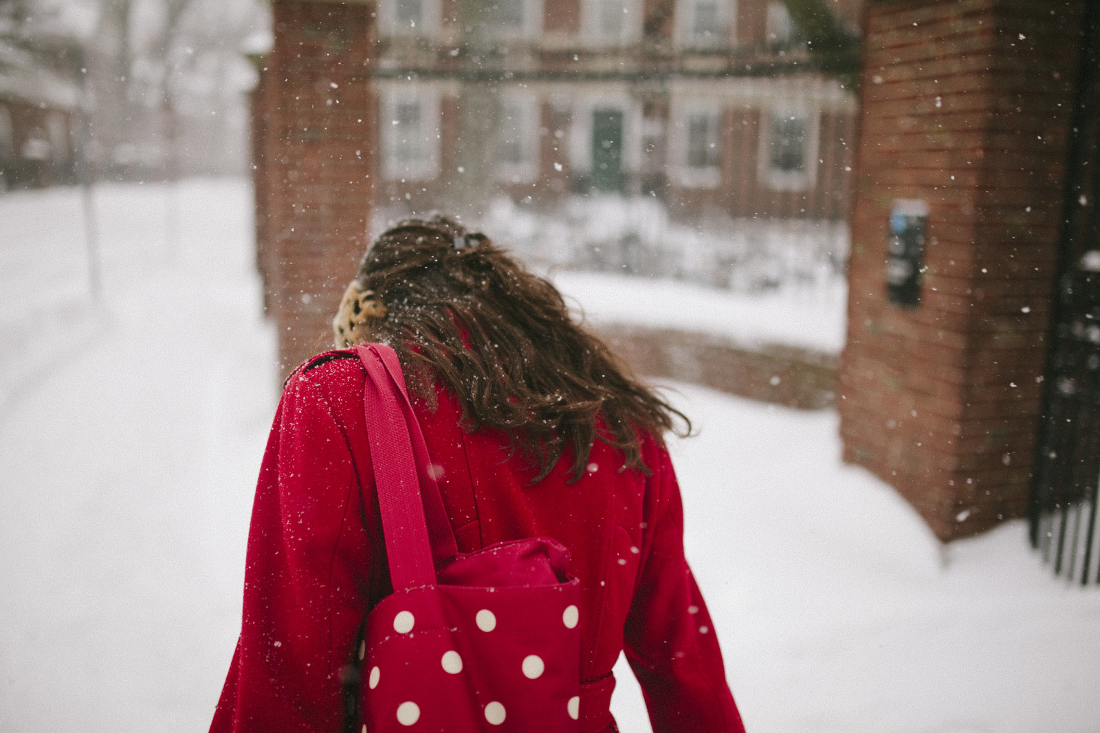 bianca, rosso, la neve, inverno, modello, Canone, capelli, in piedi, 35MM, Congelamento, Università, Boston, albero, 5 D, marchio, ii, ragazza, Sorriso, divertimento, anno, bufera di neve, 14, cambridge, anziano, capispalla, juno