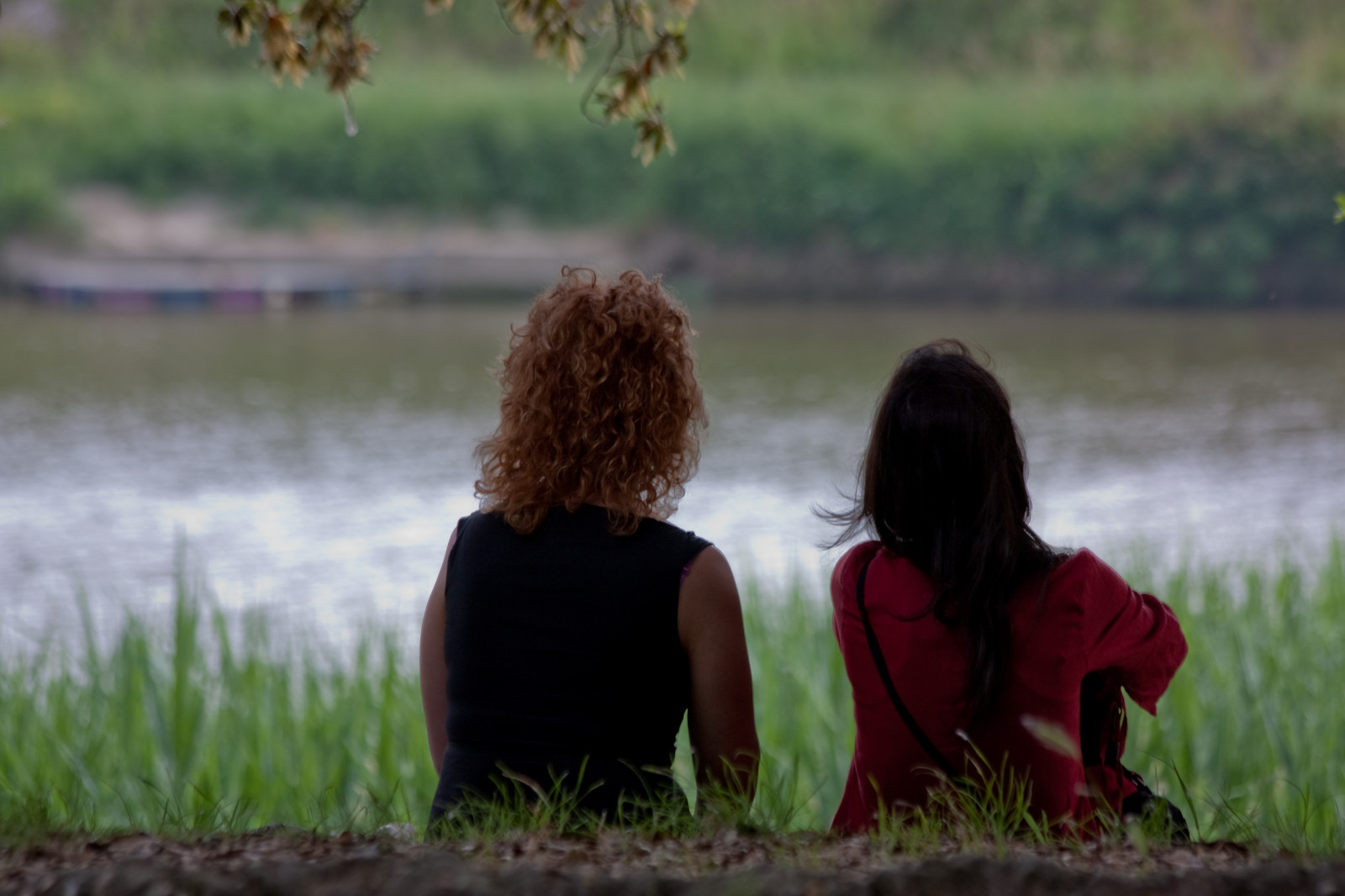 Itálie, zadní, Italia, pisa, arno, Livorno, 2009, Maggio, schiena, maggio2009, gigilivorno