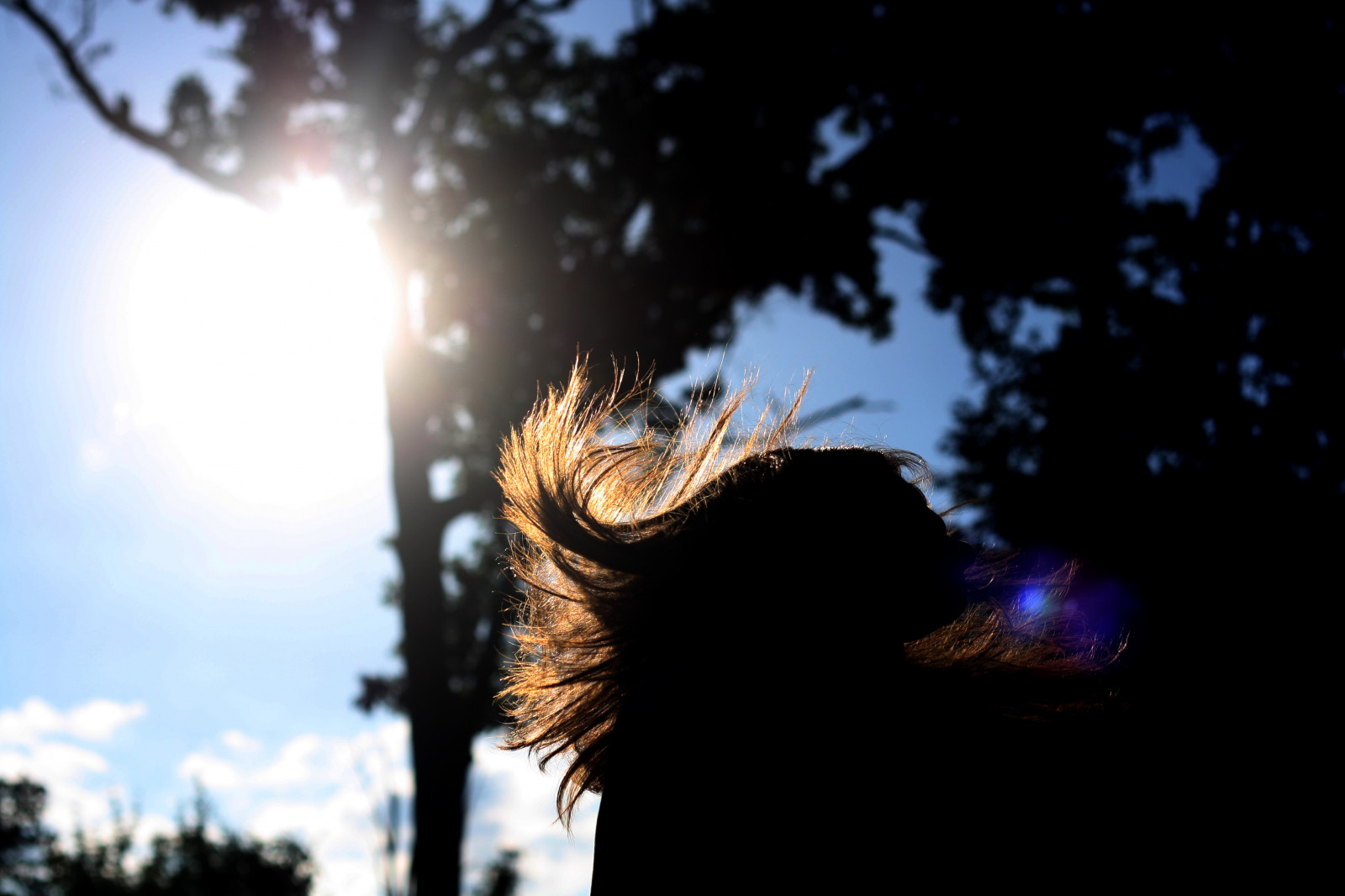 slunečnímu záření, stromy, starý, portrét, noc, odraz, nebe, silueta, větev, modrý, večer, ráno, slunce, Kánon, vlasy, letní, teplý, rebel, světlo, barva, mrak, strom, 50mm, podzim, list, květ, f18, rostlina, dívka, světlice, tma, já, manuál, xs, flip, hairflip, dřevina, mj, Maryjo