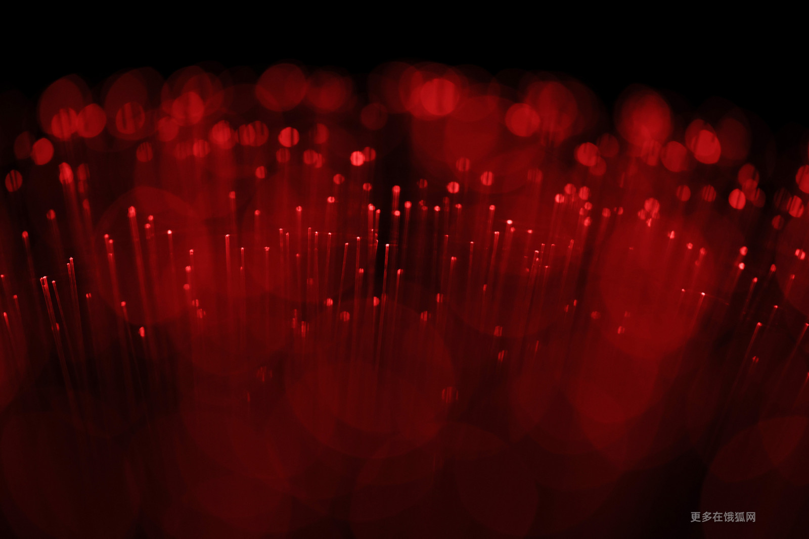 Wallpaper : line art, red background, abstract, technology, science