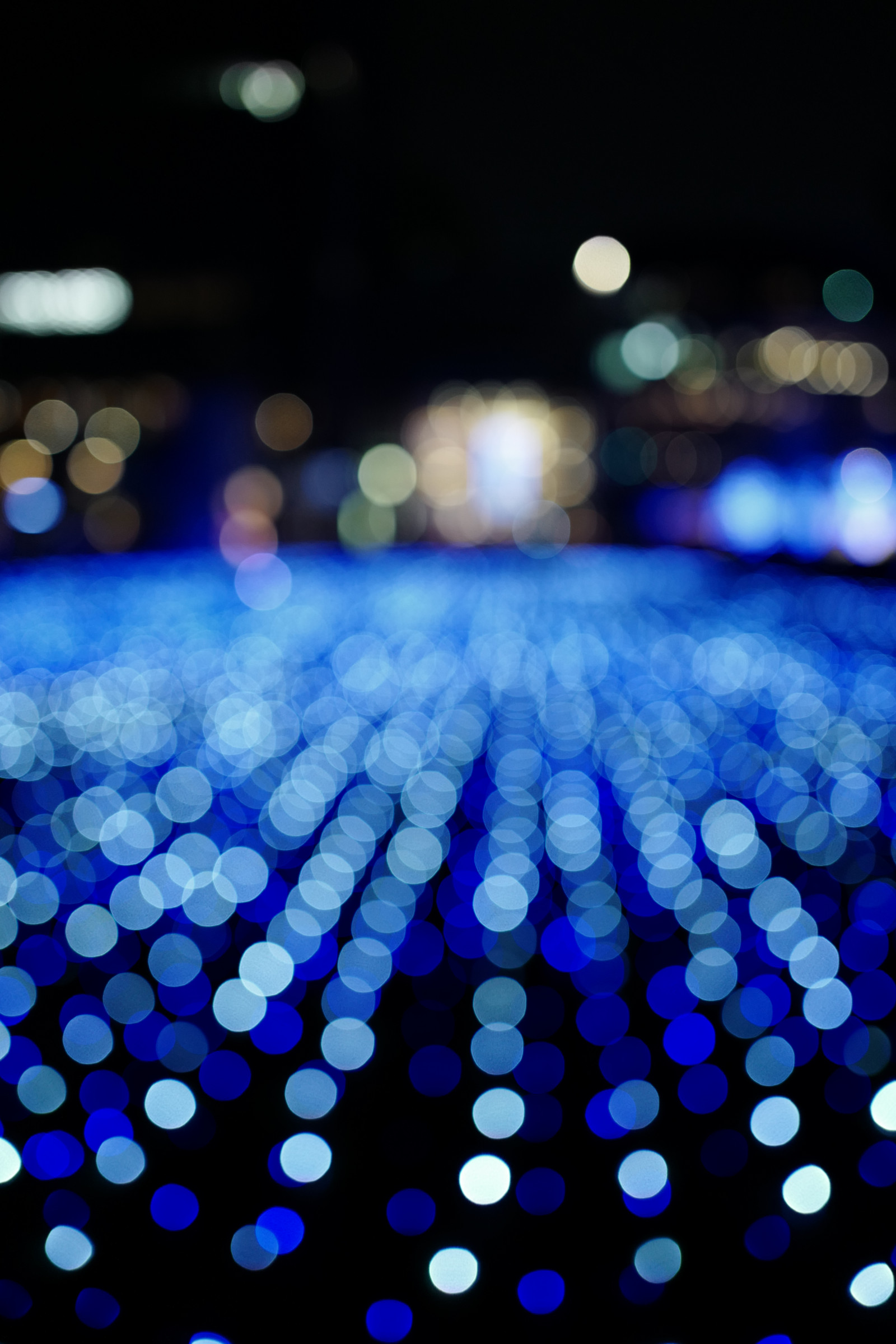 ญี่ปุ่น, กลางคืน, การสะท้อน, สีม่วง, สีน้ำเงิน, วงกลม, Leica, โตเกียว, Jp, เบา, สี, ดอกไม้, แสงสว่าง, แสง, รูปร่าง, ความมืด, roppongi, tokyomidtown, Summilux, leicaq, summilux1728, q, พุทธศักราช 1728, การถ่ายภาพมาโคร