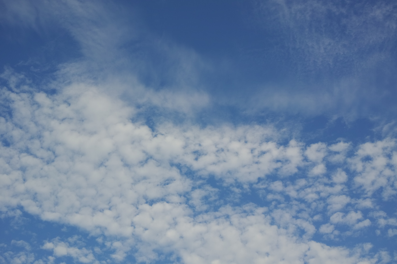 햇빛, 하늘, 푸른, 수평선, 분위기, 콰트로, 도쿄, 구름, 시그마, DP, dp2, dp2quattro, dp2q, 낮, 지구의 분위기, 기상 현상, 적운