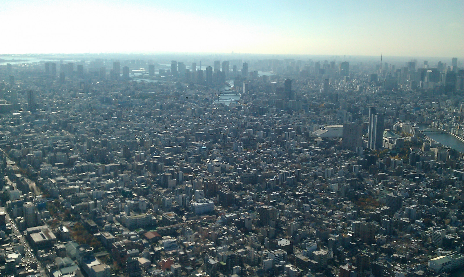 edificio paisaje Tokio pueblo megalópolis Cielo arbol