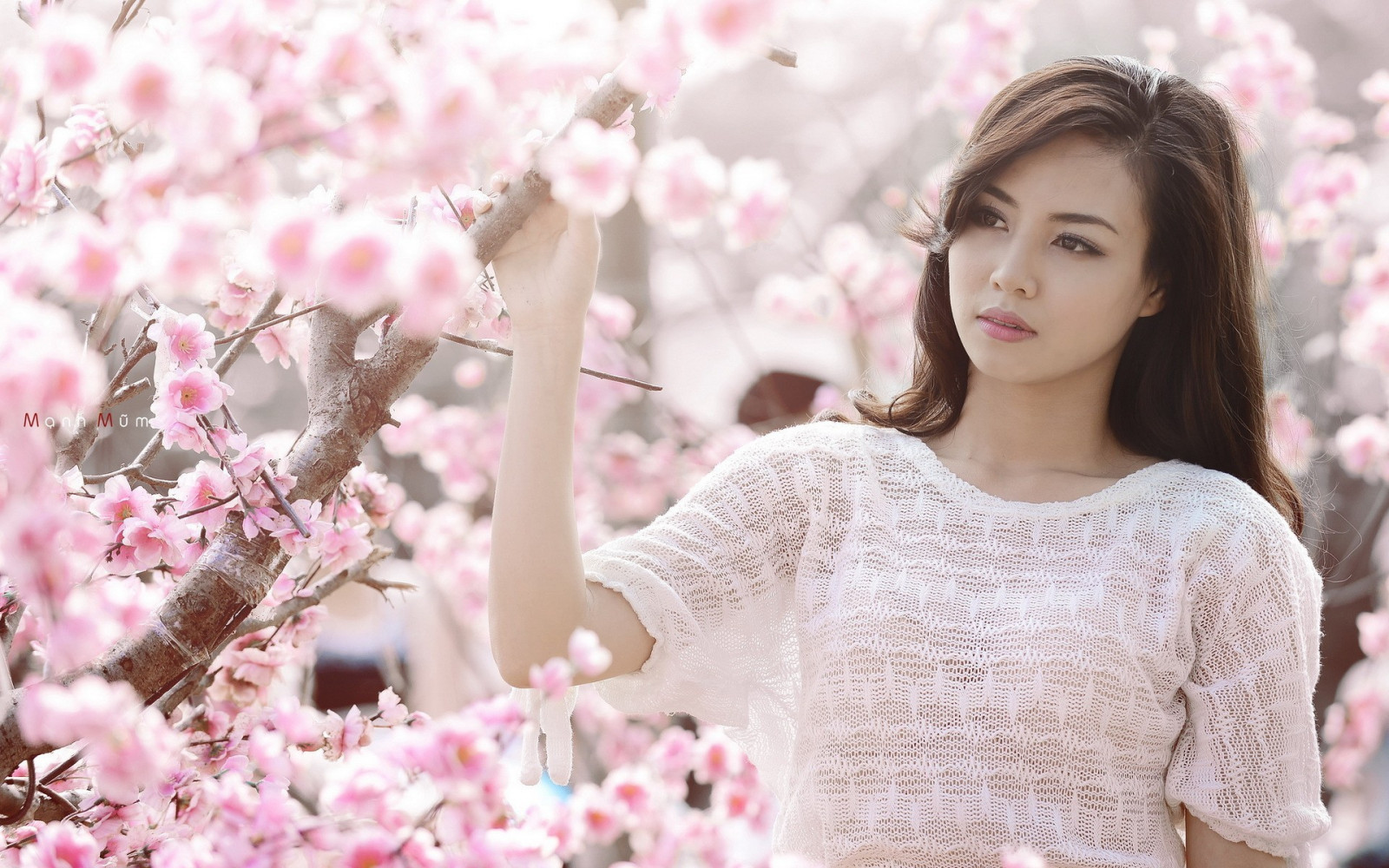 Wallpaper model, flowers, looking away, Asian, branch, sweater
