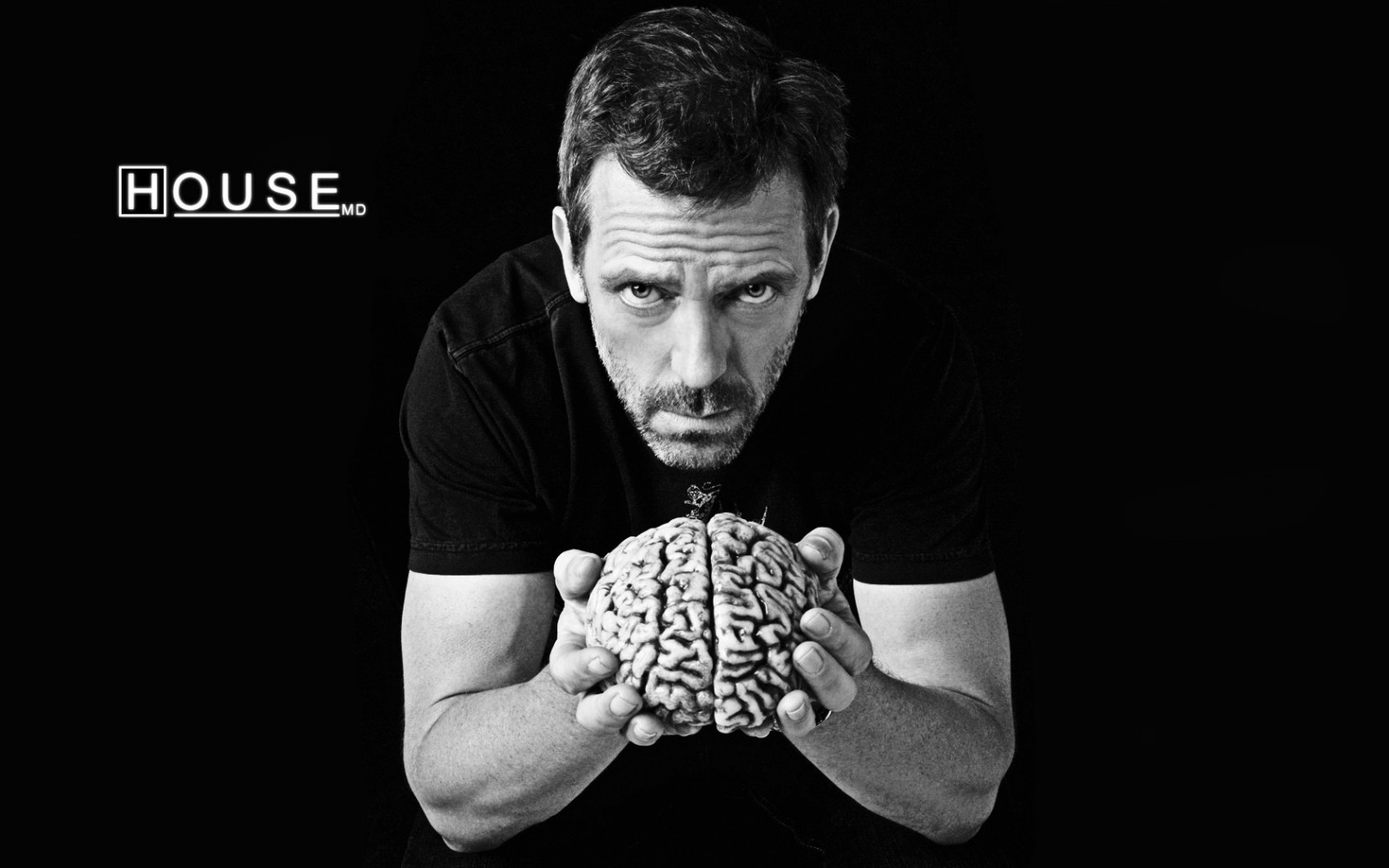 Wallpaper : brain, House M D, hand, darkness, Sense, black and white ...