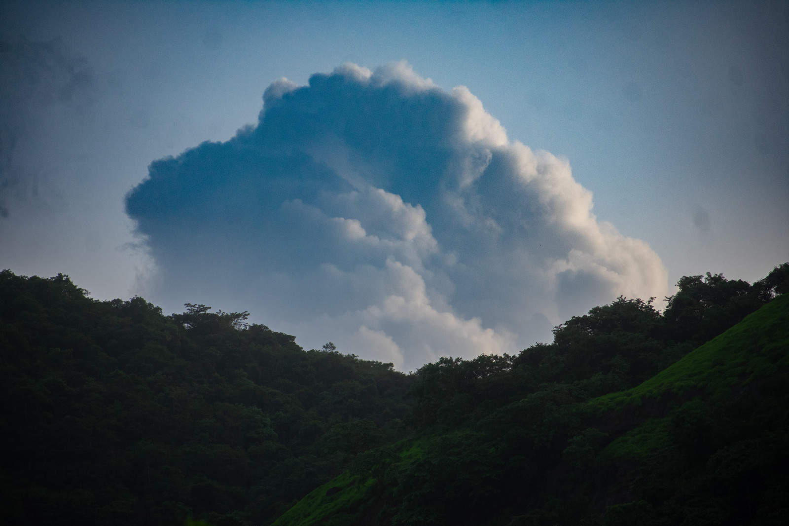 krajina, Příroda, Lightroom, mraky, nebe, stromy