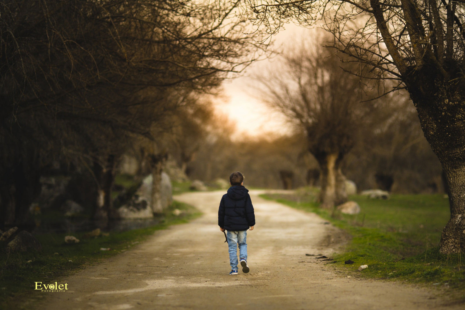 slunečnímu záření, krajina, les, portrét, děti, Příroda, tráva, nebe, stín, zima, fotografování, větev, večer, ráno, atmosféra, cesta, jaro, chůze, světlo, strom, podzim, list, děti, rostlina, dívka, zábava, fotografie, Na výšku, zálesí, dřevina, Ninos, infantil, Evolet, Evoletfotografia, Wwwevoletfotografiacom, Reportáže