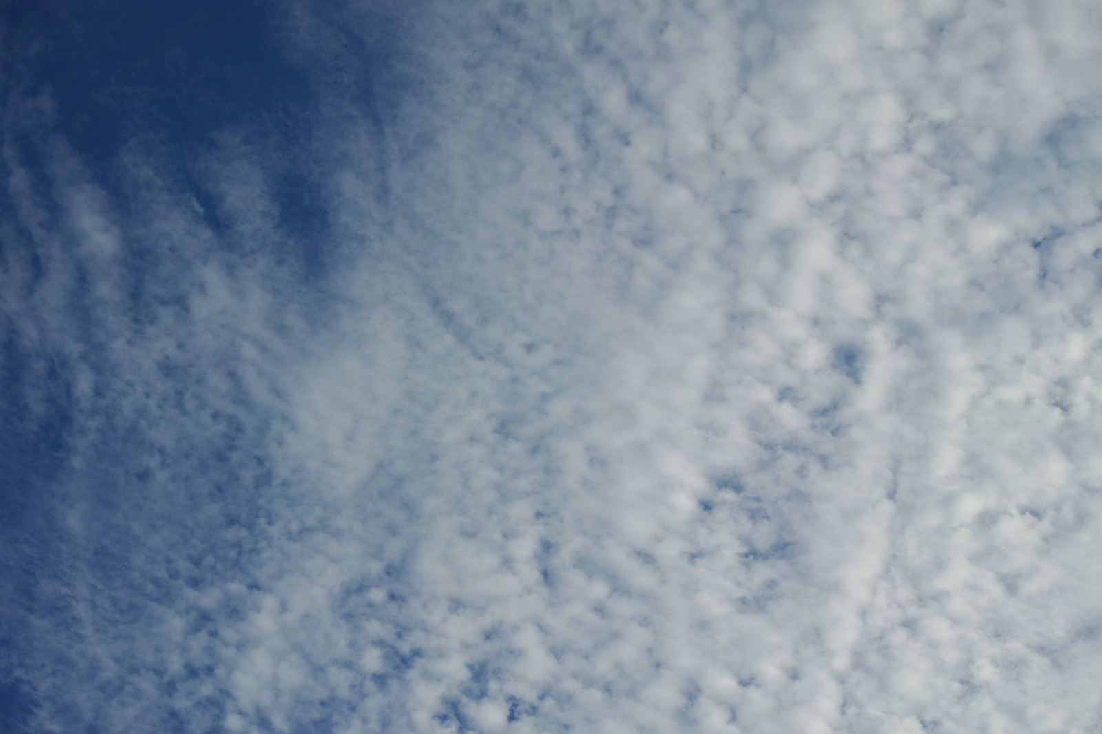 luce del sole, cielo, la neve, blu, atmosfera, Quattro, Tokyo, Congelamento, nube, sigma, dp, DP2, dp2quattro, dp2q, giorno, atmosfera della terra, fenomeno meteorologico, cumulo