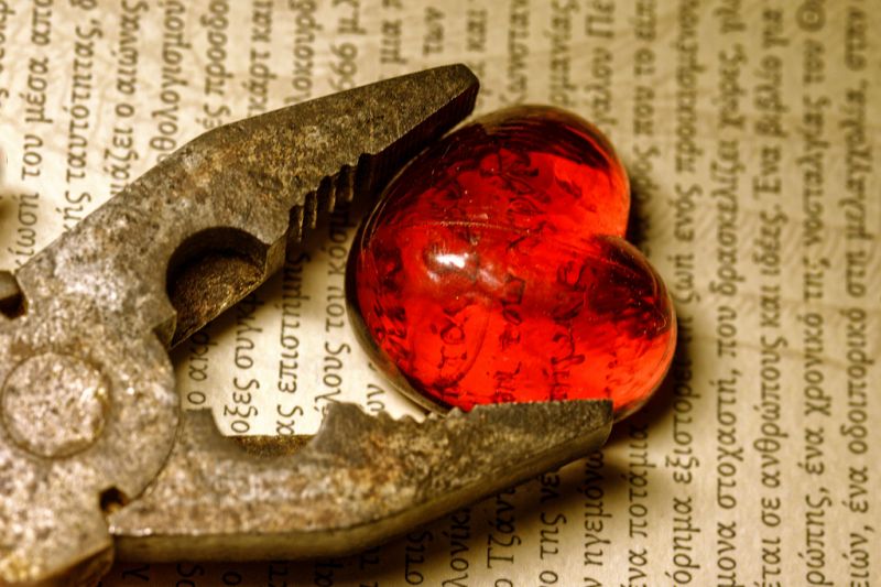 makro,macromondays,cinta,jantung,fotografi makro,hidup masih fotografi