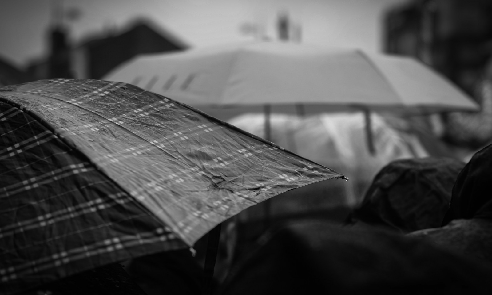 život, ulice, Nový, město, Spojené království, cestovat, světlo, Anglie, lidé, městský, tělesné, Pohyb, Černá, textura, blancoynegro, blanco, mokrý, černobílý, čáry, déšť, složení, kontrast, Liverpool, deštník, vinobraní, temný, 50mm, Mono, zajímavý, hnutí, Evropa, dosti, Noir, vzor, odlišný, bohémský, přírodní, jasný, noiretblanc, náhodný, bokeh, Británie, upřímný, Sony, černoch, obilí, scénický, obrázek, streetphotography, dramatický, Rozmazané, kostrbatý, nejlepší, prozkoumat, zvláštní, Urbana, britský, urbano, neobvyklý, zrnitý, dSLR, oblíbený, dnes, amatér, blanc, Tón, paraple, začátečník, reálný život, vlhký, Merseyside, obrázek dne, Nejlepší rána, prozkoumal, bucksbob