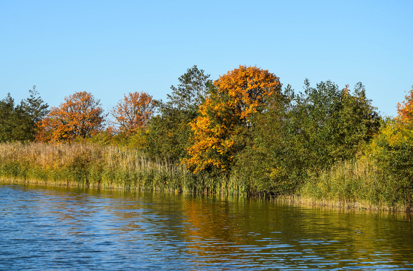 Bakgrundsbilder Tr d Landskap Sj Vatten Natur Reflexion Himmel 