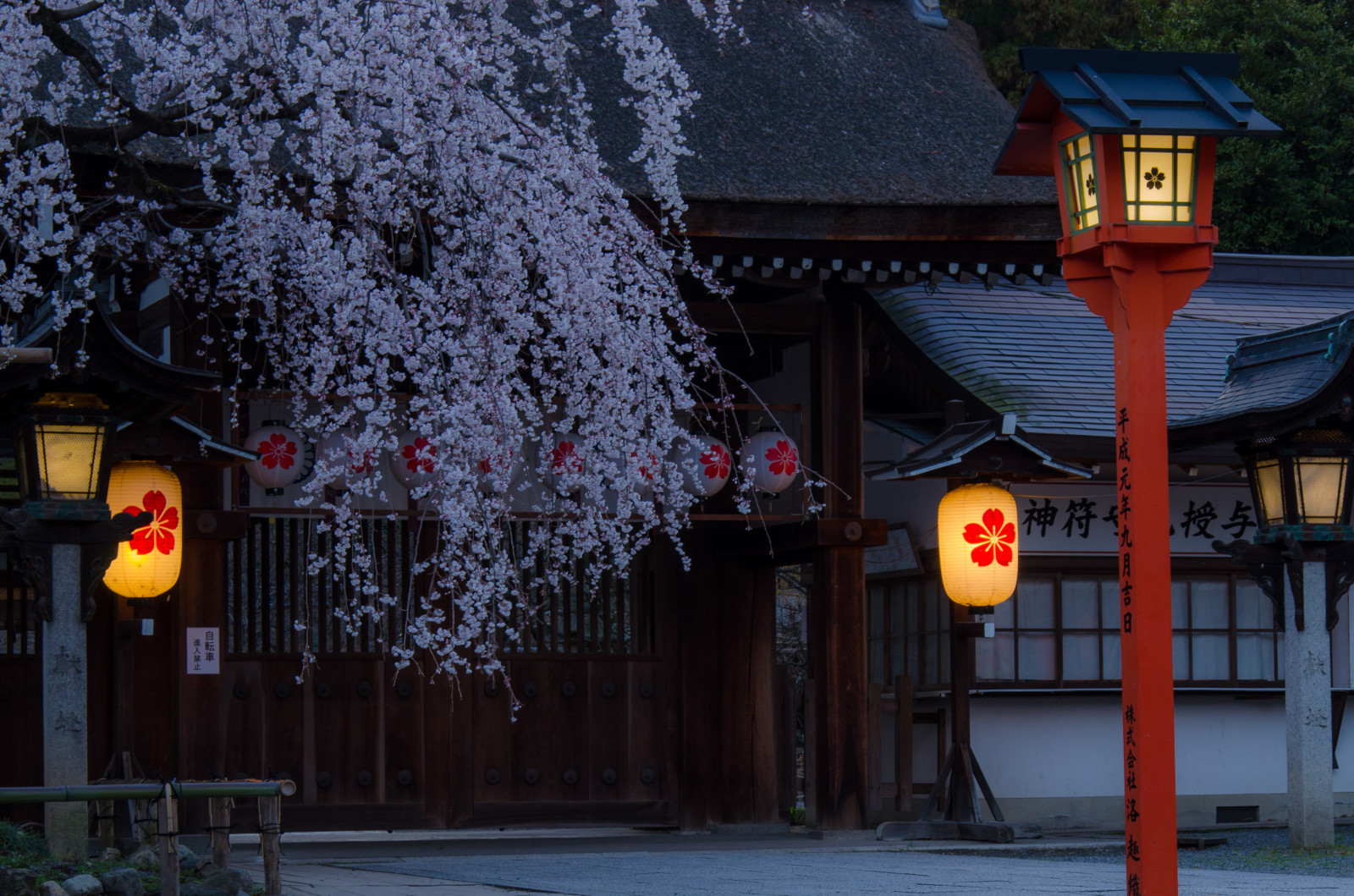 Japan, landskab, gadebelysning, by, gade, nat, natur, bygning, himmel, vinter, afdeling, hus, aften, cherry blossom, by, Nikon, japansk, forår, helligdom, Kyoto, lys, træ, blomst, plante, ume, kirsebær, D7000, belysning, milepæl, facade, turistattraktion, vedplante, hiranojinja