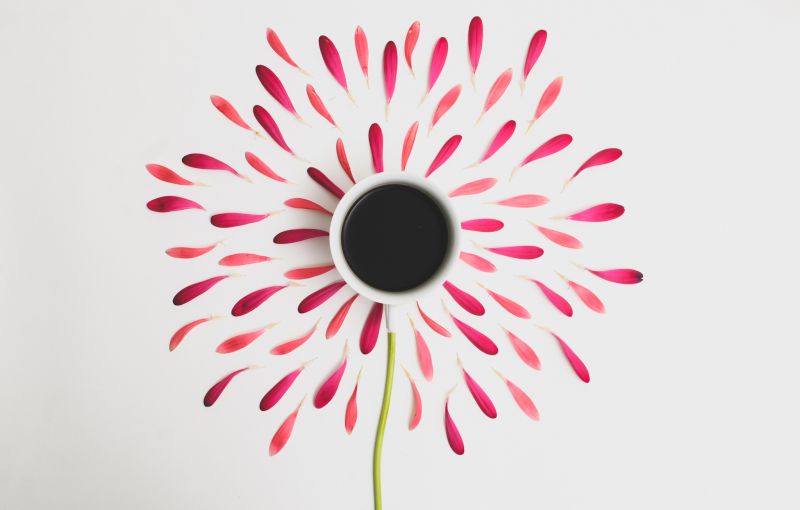 kronblade, kop, illustration, minimalisme, cirkel, lyserød