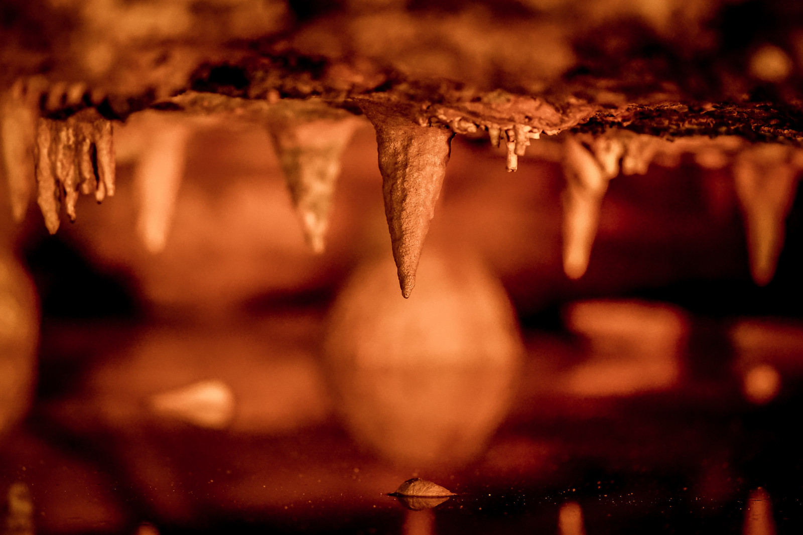 chrám, noc, sochařství, Sony, jeskyně, bokeh, Virginie, slabé světlo, sonya7ii, sonya7m2, a7m2, samyang135f2, Samyang, jeskyně, jeskyně, va, útvary, Shenandoah, tma