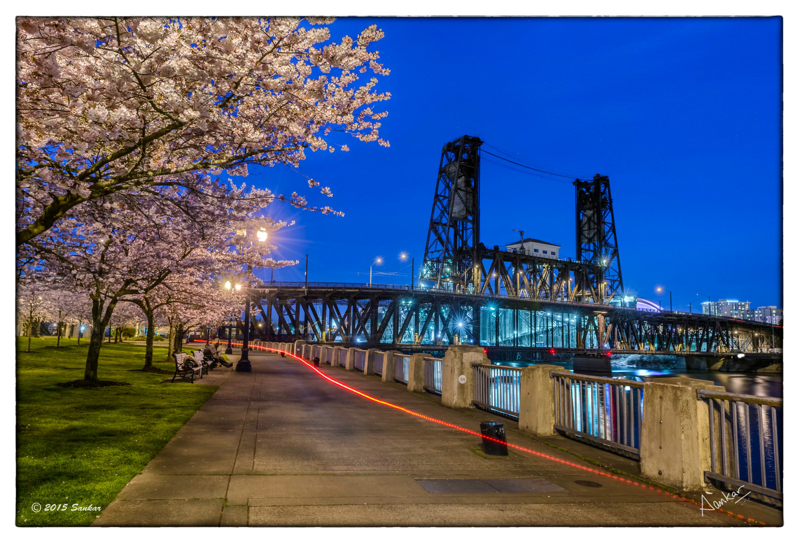krajina, světla, květiny, město, panoráma města, noc, voda, odraz, nebe, panoráma, večer, most, řeka, Třešňový květ, květ, Oregon, jaro, Max, Portland, nábřeží, čínská čtvrť, strom, rostlina, třešeň, Třešňový květ, nightphotography, světla města, nebo, staré Město, mezník, Burnside, lighttrails, slowshutter, Metropolitní oblast, Willamette, slowspeed, hawthornebridge, pdx, Sankar, sankarraman, Ocelový most, Sankarramanfotografie, Skidmore