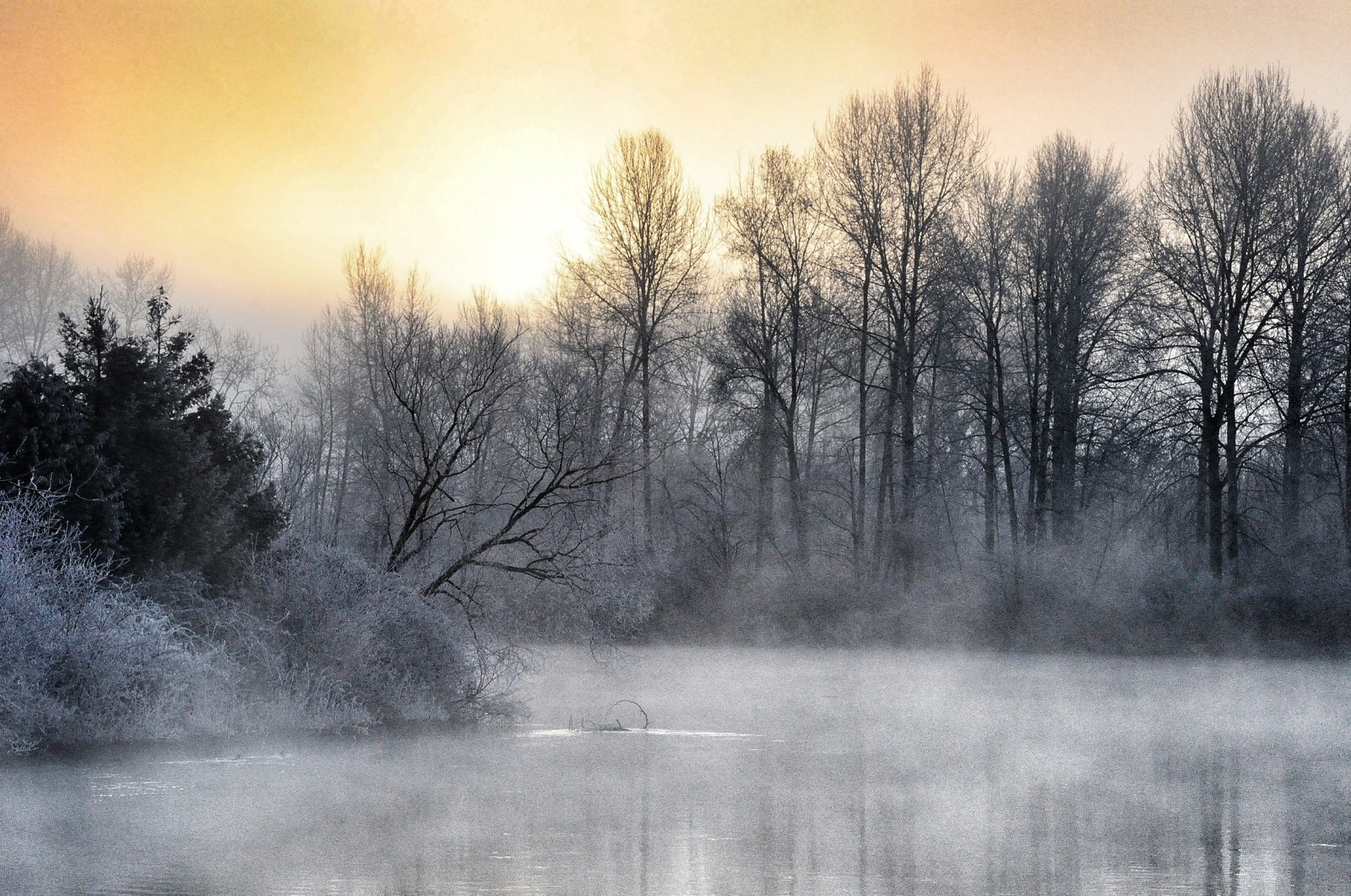 ráno, stromy, voda, mlha, svítání, řeka, mráz, Slunný, Everett, 52, 1052, 52 týdnů, snohomishriver, 52weeksproject