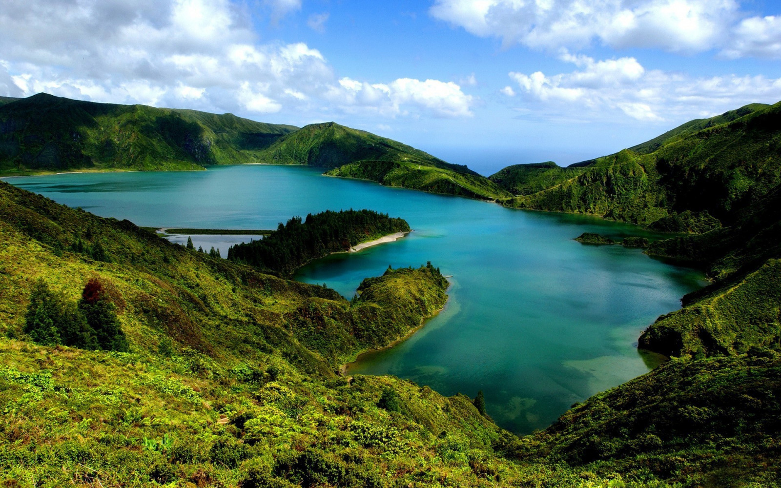 Wallpaper : landscape, forest, sea, hill, nature, reflection, green ...