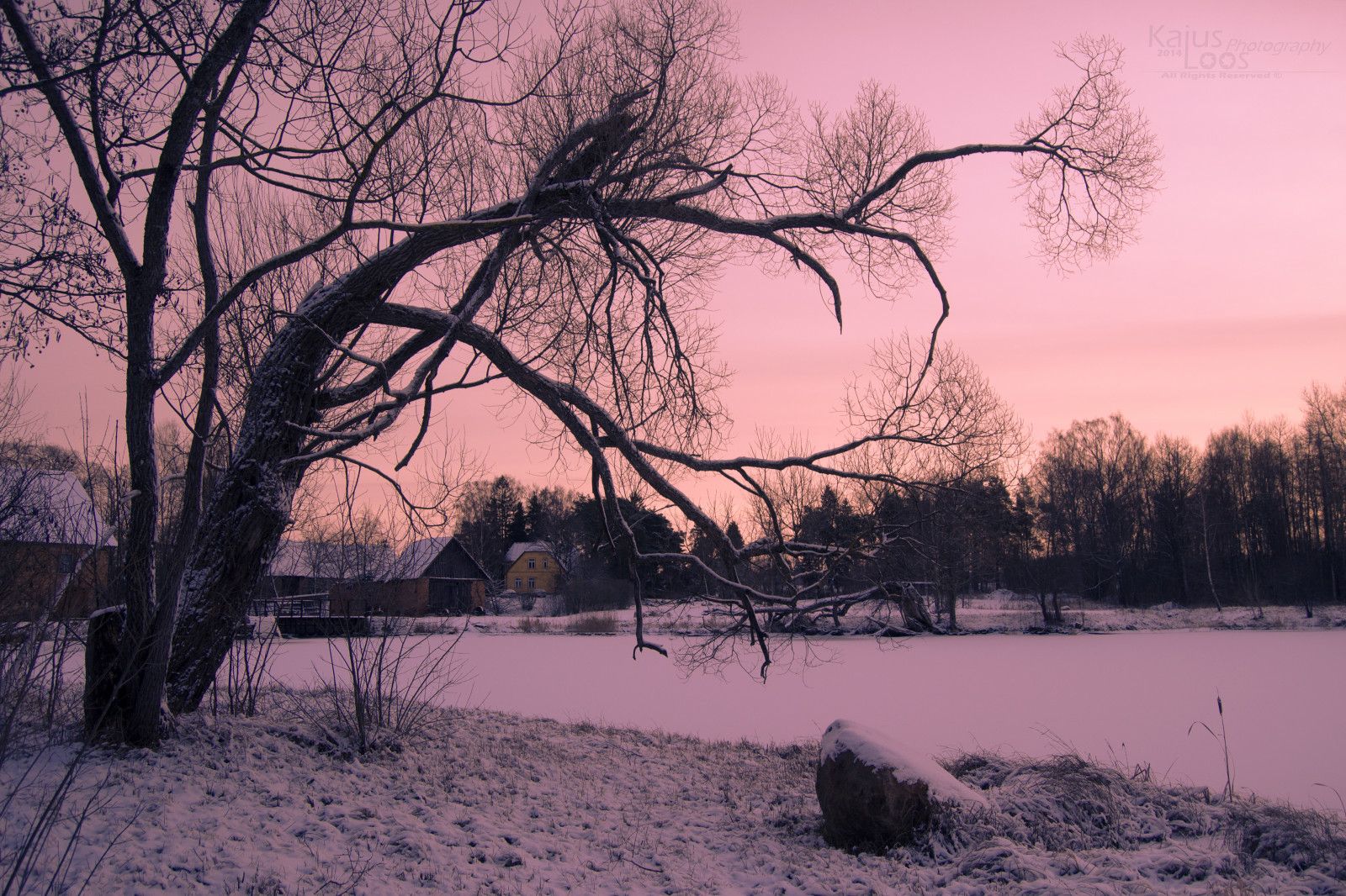 luce del sole, paesaggio, 500px, tramonto, lago, acqua, natura, riflessione, cielo, la neve, inverno, ramo, Alba, ghiaccio, sera, mattina, brina, orizzonte, atmosfera, Nikon, crepuscolo, primavera, Banca, Congelamento, Estonia, popolazione, ARTE, albero, contea, alba, pianta, congelato, umano, D3100, sfondo del computer, pianta legnosa, loos, Kaius, Valga, Hellenurme