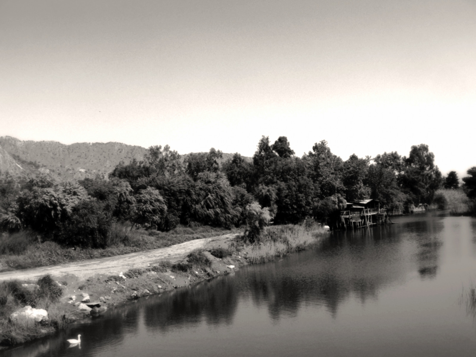 voda, odraz, tělo z vody, nebe, řeka, Černý a bílý, strom, vodní, monochromatické fotografování, banka, fotografování, vodní zdroje, černobílý, krajina, rostlina, jezero, fluvial landforms of streams, mokřadní, nádrž, bayou, vodní tok, večer