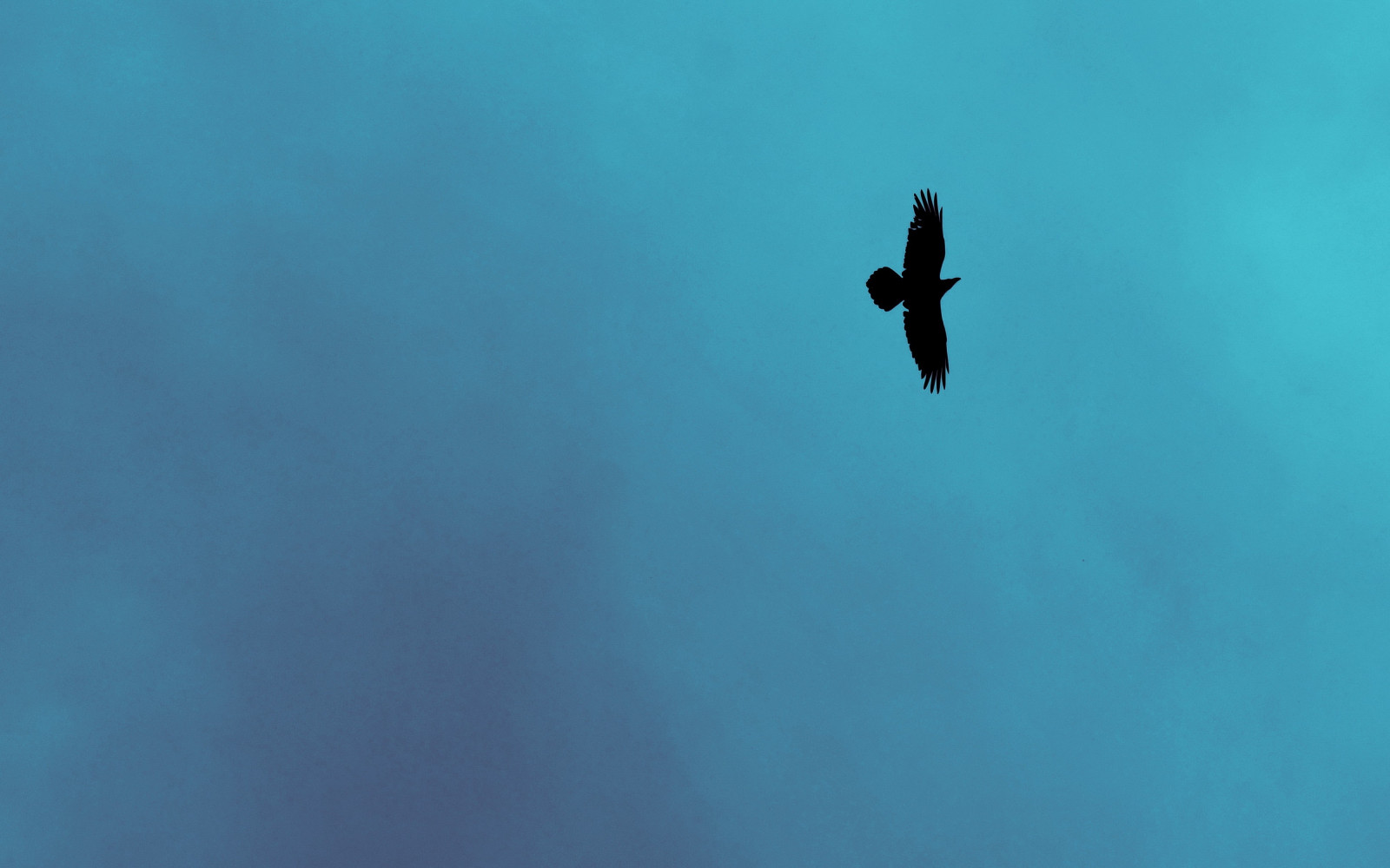 sportovní, ptactvo, zvěř, nebe, modrý, Pod vodou, potápění, volné potápění, rekreace, extrémní sport, rekreaci ve volné přírodě, vodní sport, potápění