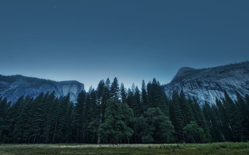 krajina, les, kopec, Příroda, sníh, ráno krajina, les, kopec, Příroda, sníh, ráno