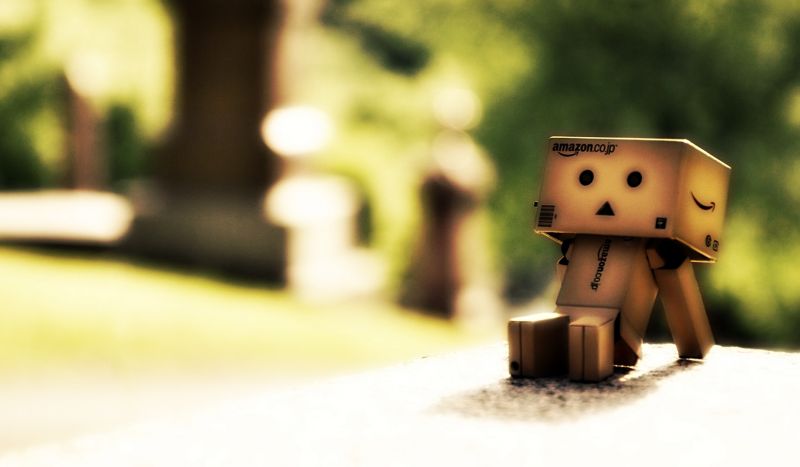 photography, green, morning, Danbo, light, color photography, green, morning, Danbo, light, color