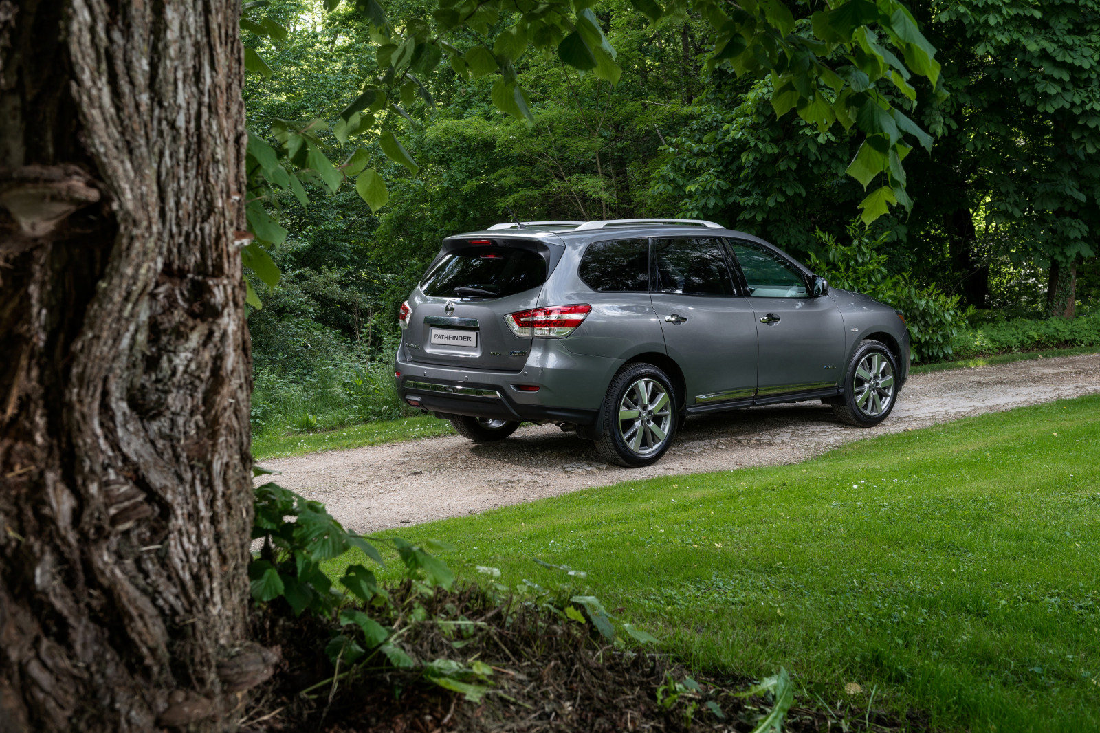 auto, vozidlo, Nissan, netcarshow, netcar, obrázky vozidel, photo auto, 2016, kolo, Pathfinder ruská verze, pozemní vozidla, automobilový exteriér, automobil make, crossover sUV, sportovní užitkové vozidlo, off road, Kompaktní sportovní užitkové vozidlo