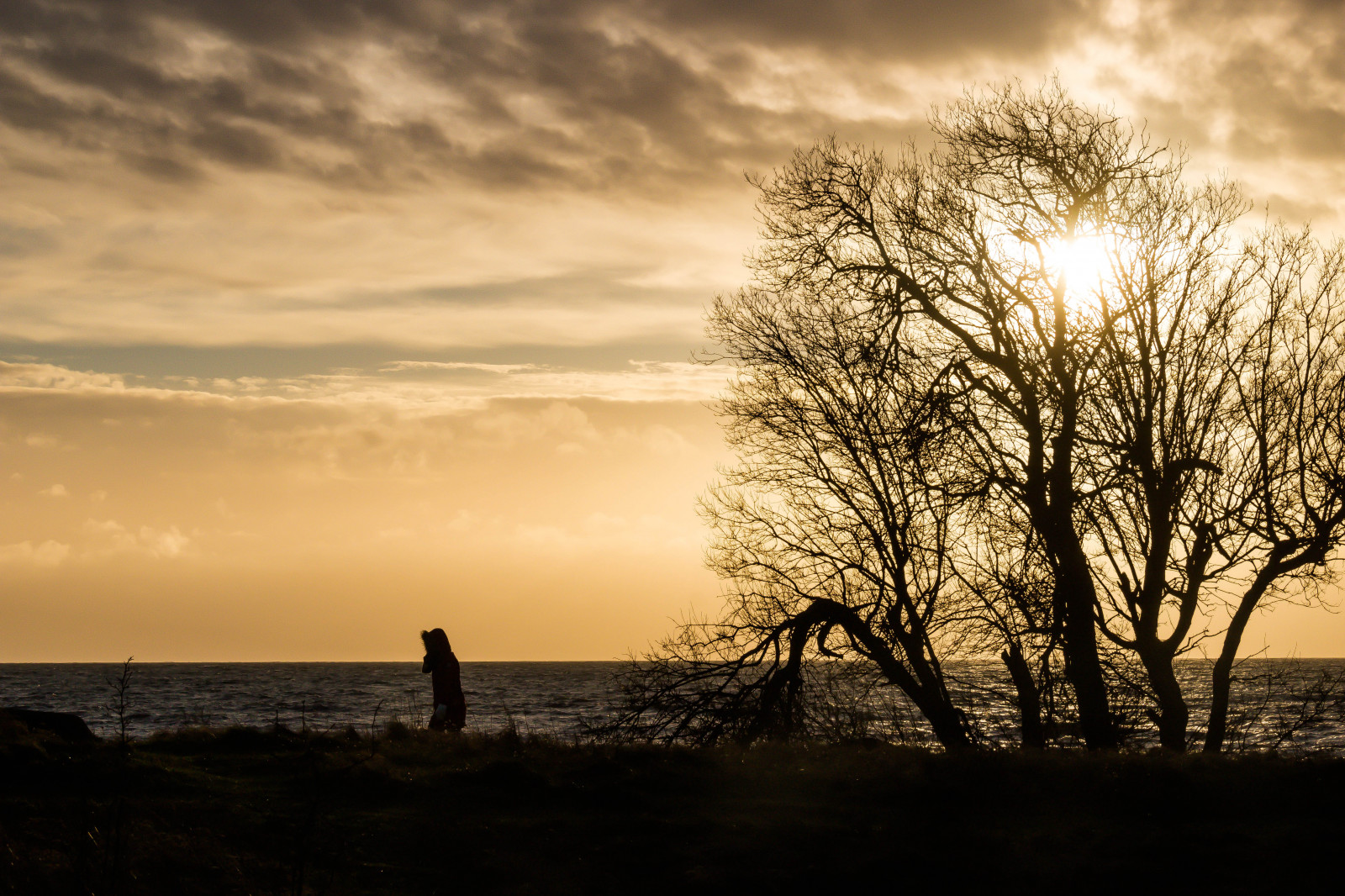 moře, pláž, pramen, pobřeží, hav, stersj n, kust, Ystad, lilleskog
