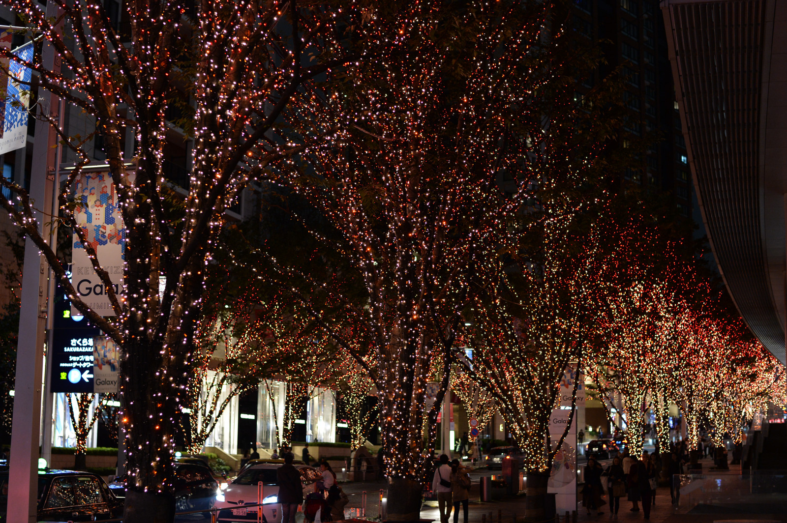 Japonsko, noc, večer, Vánoční strom, Nikon, Vánoce, Dovolená, Vánoční osvětlení, Tokio, jp, světlo, strom, NIKKOR, květ, osvětlené, osvětlení, osvětlení, df, Roppongi, keyakizaka, afs58mmf14g, afsnikkor58mmf14g, osvětlit, dřevina, vánoční dekorace