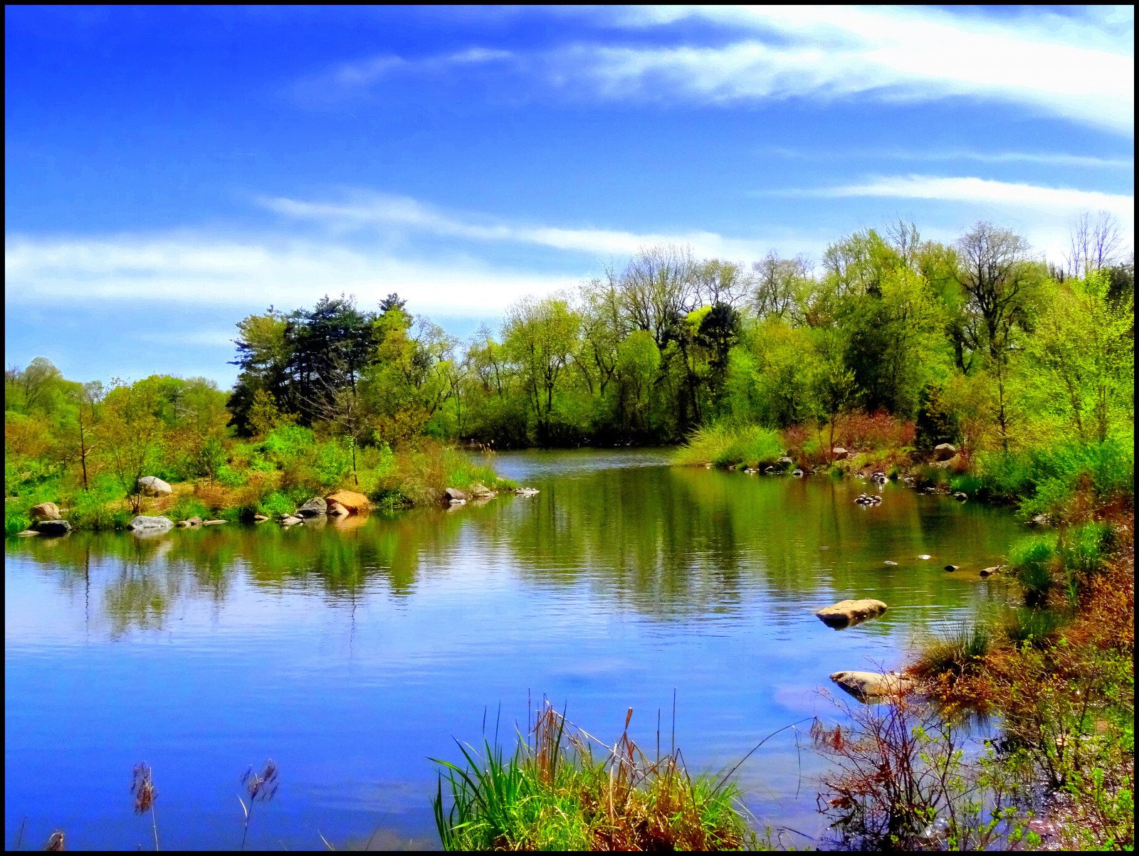 Spring Reflection Background Wallpaper : newyork, reflection, Brooklyn, spring, image, prospectpark ...